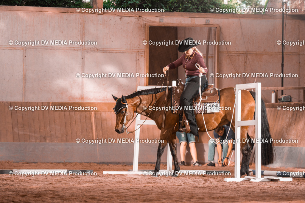 NE300129 | dv-media-shop - Realisiert mit Pictrs.com