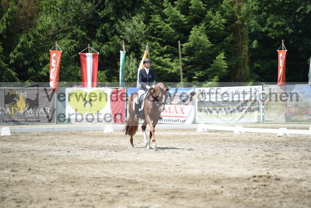 DSC_9060 | equestrian-live-com