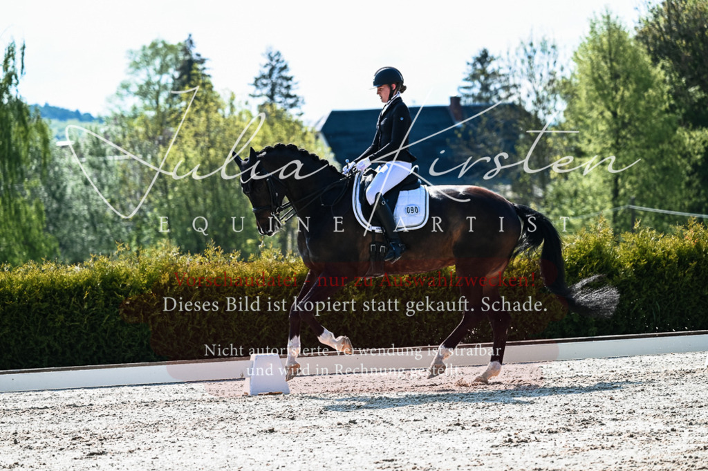 20230513_JK-Röhrsdorf-10-0365 | Pferde- und Turnierfotografie in Westsachsen. Pferdeportraits, Auftragszeichnungen und intuitive Kunst.