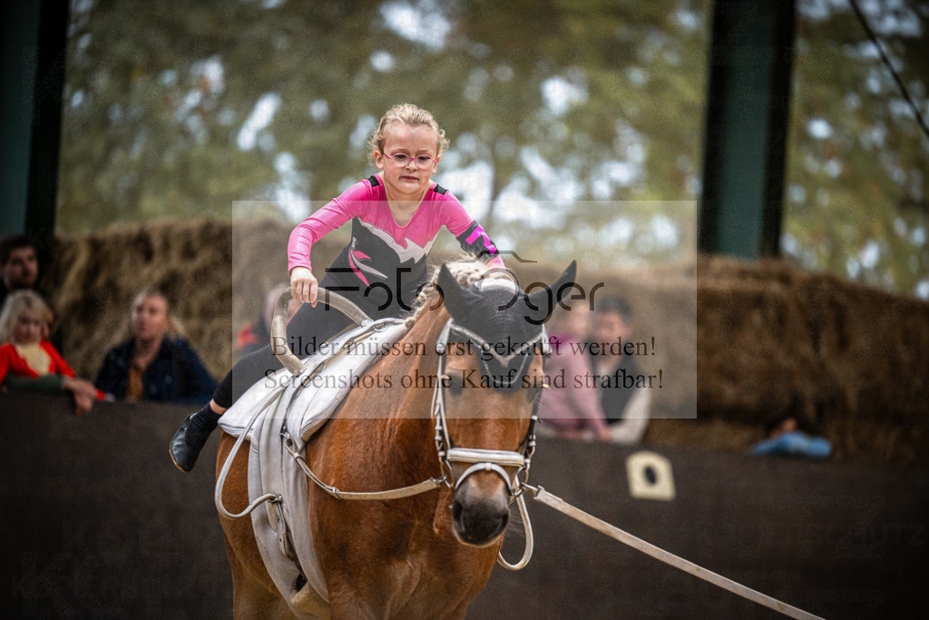 DOS_0206 | Entdecke hochwertige Reitturnierfotos von Foto Oger. Professionell, emotional und authentisch – jetzt Lieblingsmomente im Shop bestellen.Deutschlandweite Turnierfotografie. - Realisiert mit Pictrs.com