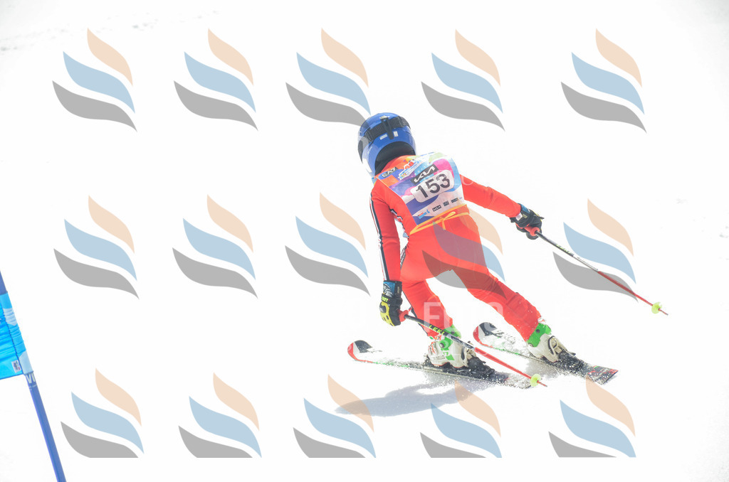 _ELE6347 | holidayphoto