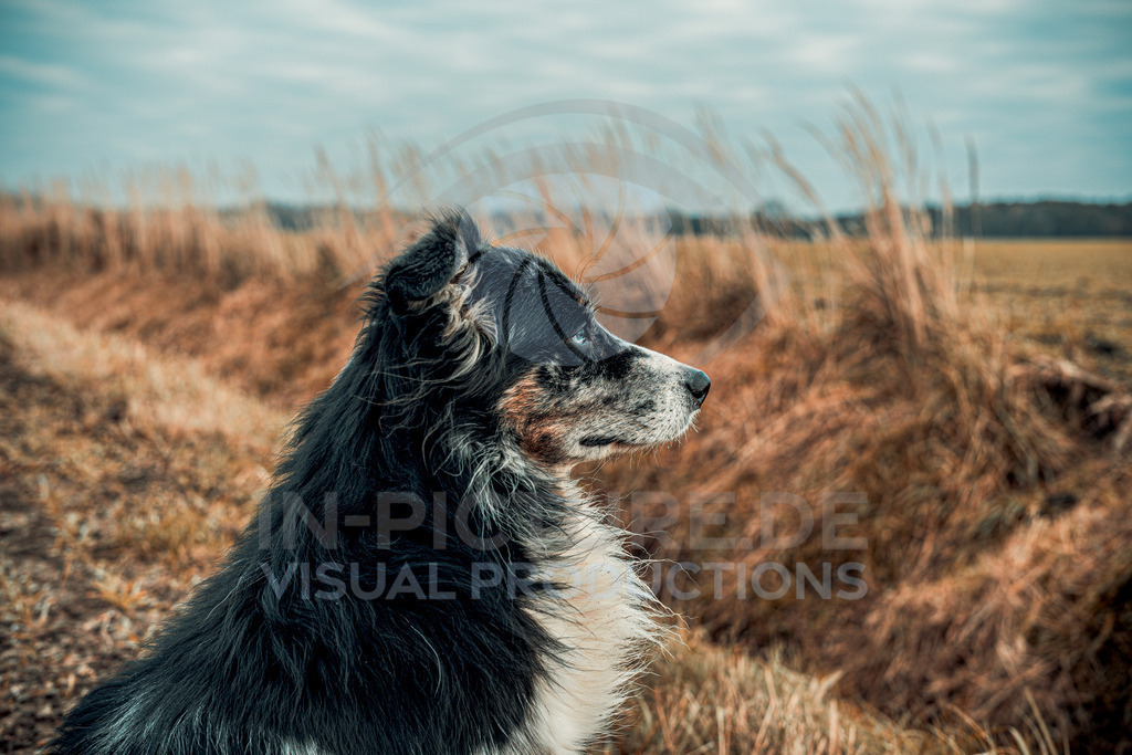 DSC00076 | in-picture - Realisiert mit Pictrs.com