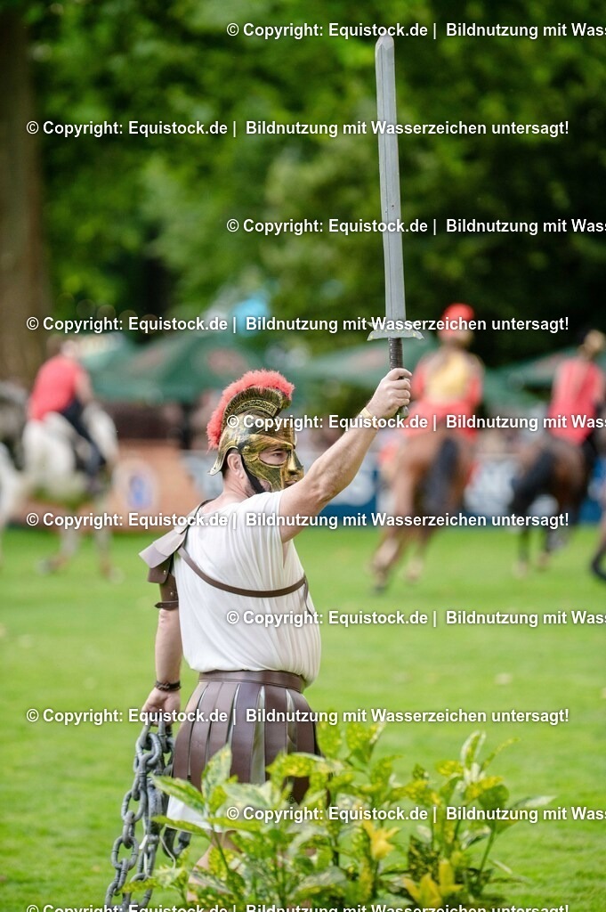 TS_20250606_Lange-Pferdenacht_0434 | Foto: Thomas Hartig