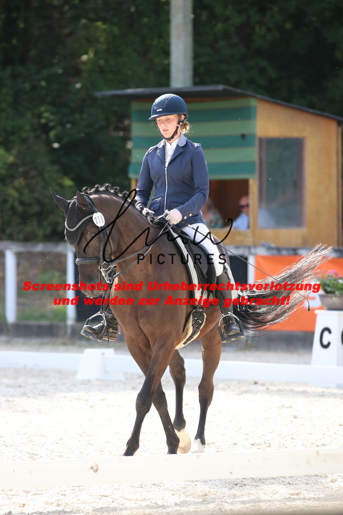 IMG_5715 | lmwpictures - Realisiert mit Pictrs.com