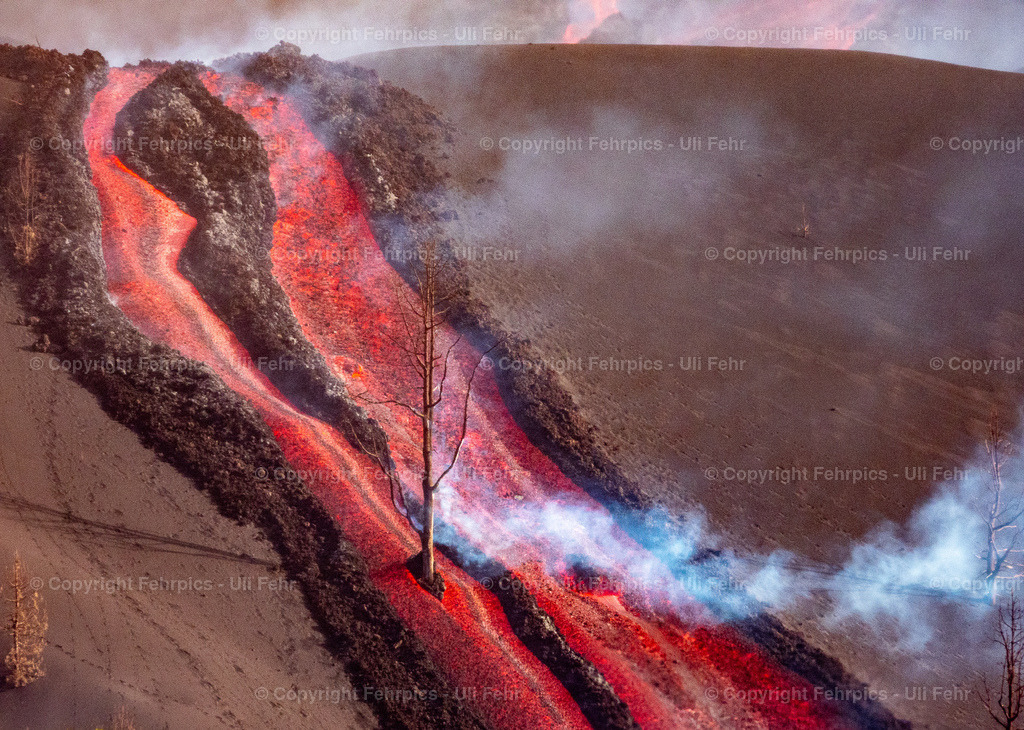 20211128-DSCN1570 | Fehrpics - hochwertige Fotoprodukte rund um Landschaft, Natur, Sterne & Milchstraße. - Realisiert mit Pictrs.com