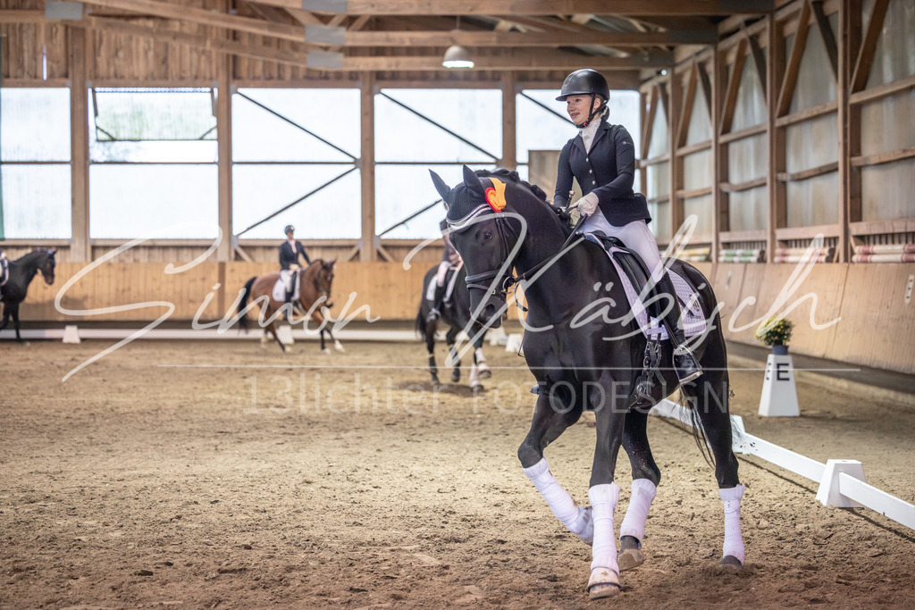 20251011-_3LI2331 | Tierfotografie Pferde, Hunde, Katzen, Haustiere.
Turnierfotografie Reitturniere, Reiten, Springreiten, Dressur in Hanau, dem Main-Kinzig-Kreis und dem Rhein-Main- Gebiet um Frankfurt