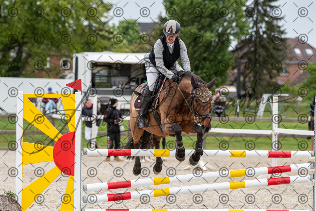 KPT_8335 | andre_photographic