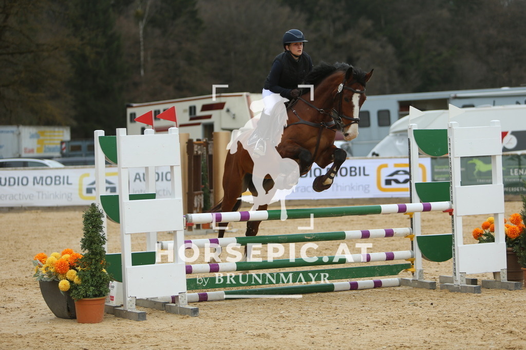 DL2Q6090 | Willkommen bei Brunnmayr - Design & Fotografie – Ihrem Spezialisten für Reitturniere und Pferdeveranstaltungen in Oberösterreich, Salzburg und Bayern! Seit über 17 Jahren sind wir leidenschaftlich dabei.