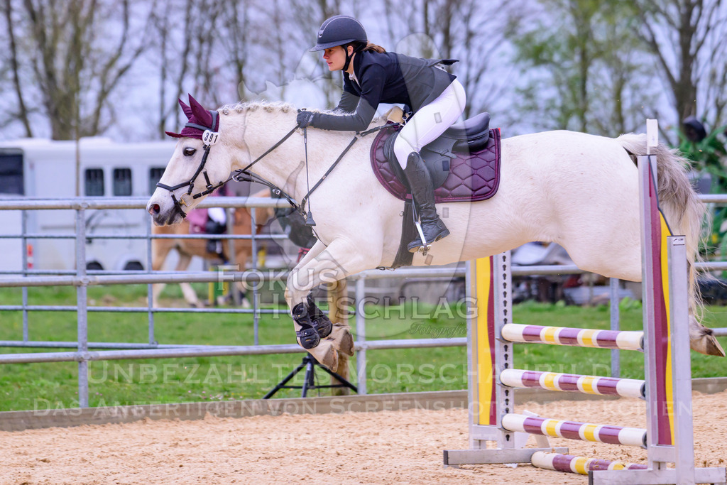 10042026-Mammendorf-Prfg13-0376 | Fokus Hufschlag Fotografie - Realisiert mit Pictrs.com