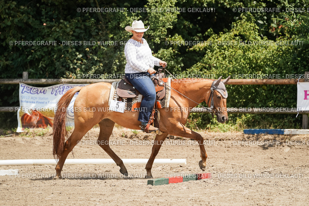 DSC07799 | Pferdegrafie