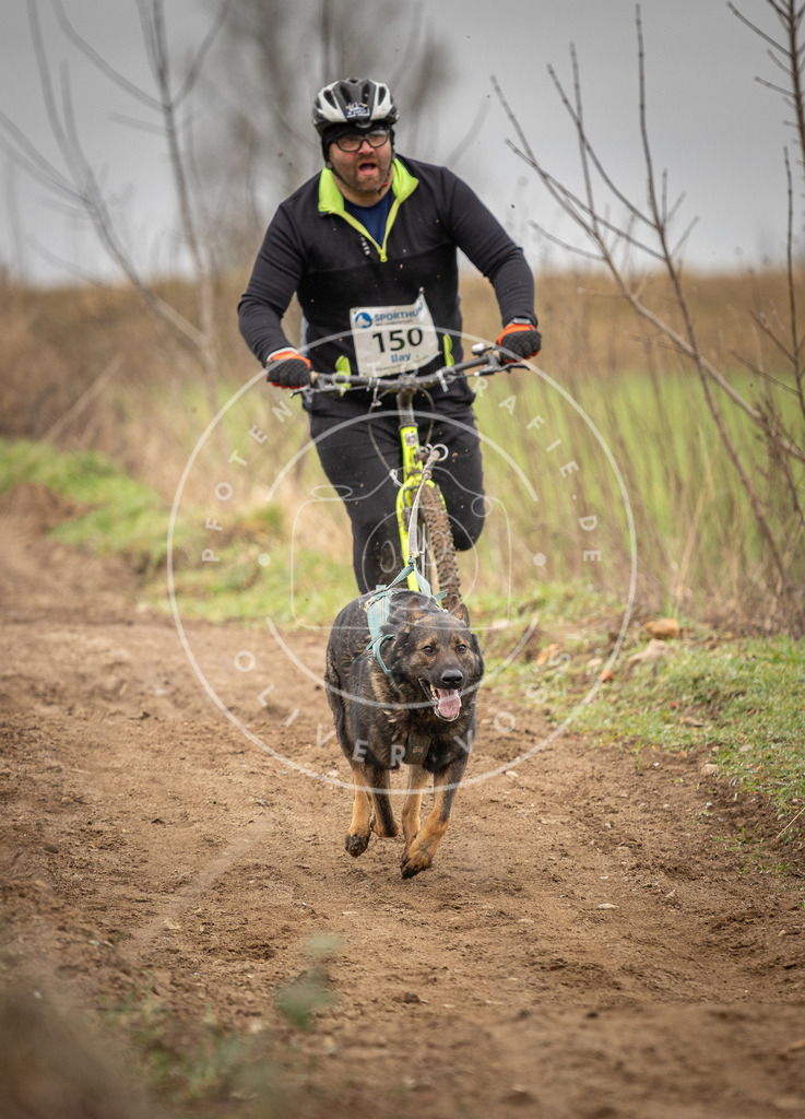 DV3A1517 | Hundefotografie, Tierfotograf, Pfotenfotografie, Fotoshooting Hund, Hunde Portrait, Hundesport, Hundeportraits, Heideshooting, Hunde, Sportfotograf, Hundefotograf, Turnierhundsport, THS,  - Realisiert mit Pictrs.com