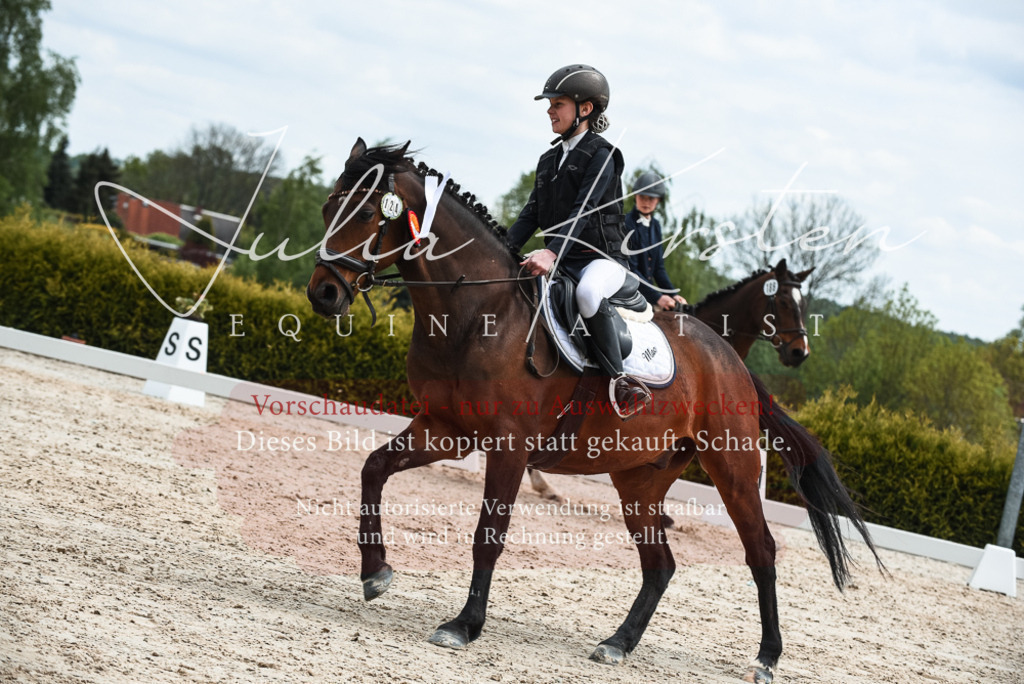 20230518_JK-Röhrsdorf-10-866 | Pferde- und Turnierfotografie in Westsachsen. Pferdeportraits, Auftragszeichnungen und intuitive Kunst.