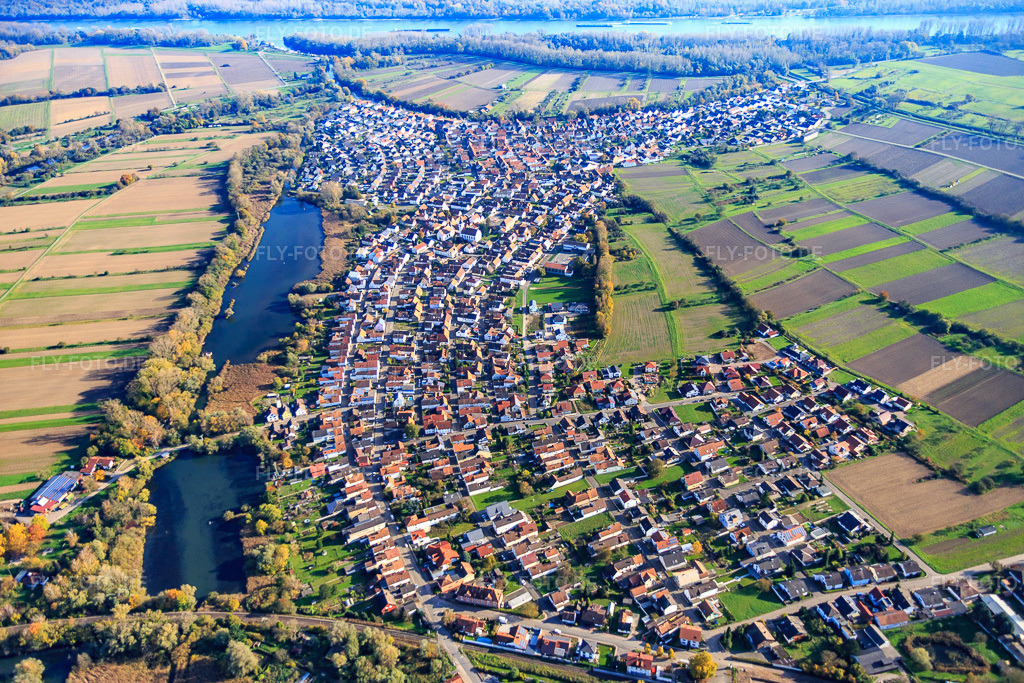 Luftbild: Dorfansicht am Tankgraben aus Westen in Neuburg am Rhein im Bundesland Rheinland-Pfalz in Deutschland. Foto: IMG_075792.jpg vom 02.11.2014 durch Werner Riehm/FLY-FOTO.de