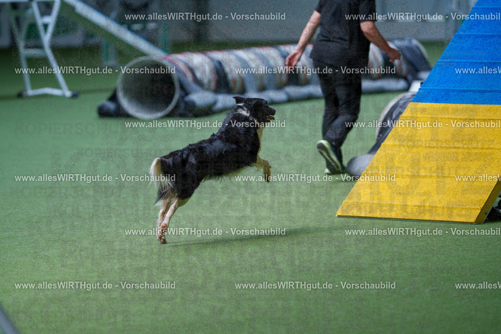 @allesWIRTHgut_Tierfotografie - www.allesWIRTHgut.de - 2604251231-7R502001 | Professionelle Tierfotografie in Mönchengladbach von Daniel Wirth (allesWIRTHgut). Liebevolle & natürliche Bilder von Hunden & Katzen für unvergessliche Erinnerungen.