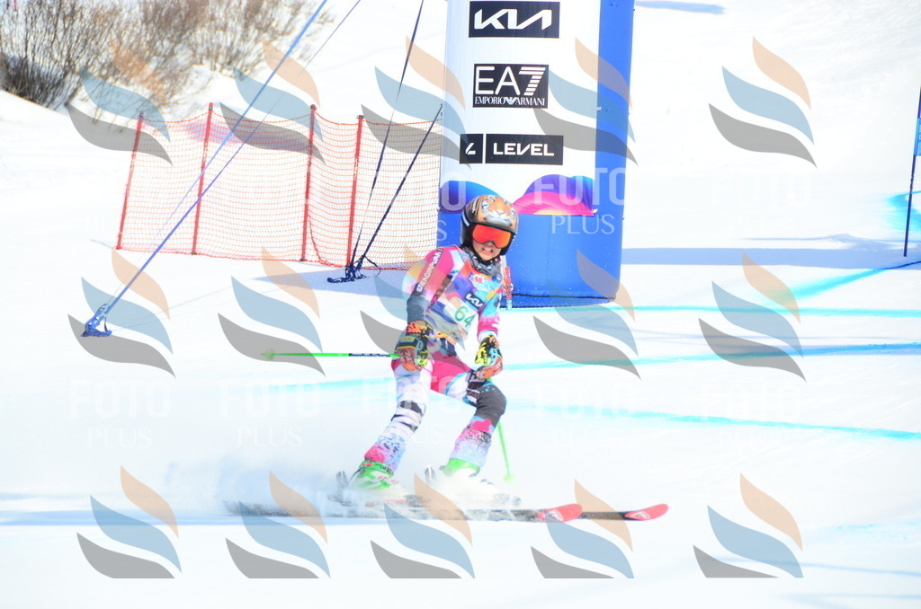 DSC_0350 | holidayphoto