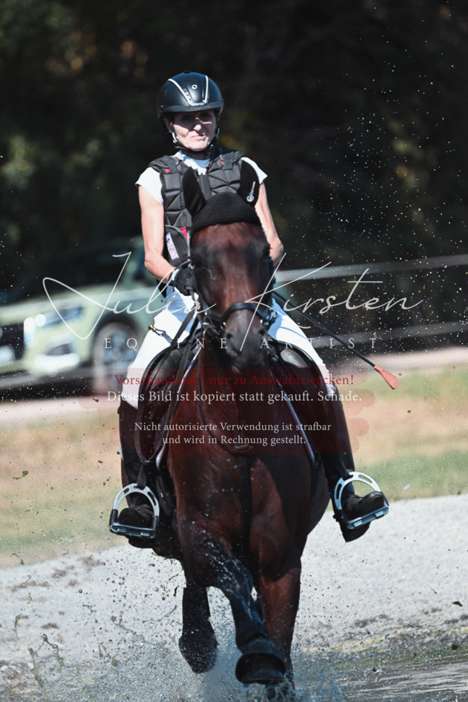 DSC_8524 | Pferde- und Turnierfotografie in Westsachsen. Pferdeportraits, Auftragszeichnungen und intuitive Kunst.