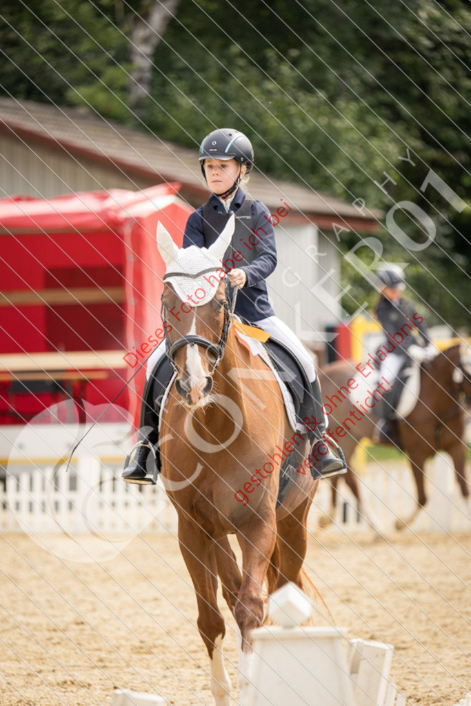 CON_0230 | Sport-, Event- und Tierfotos in Profiqualität. Einfach auswählen, bestellen und herunterladen. Dein Moment – perfekt festgehalten.