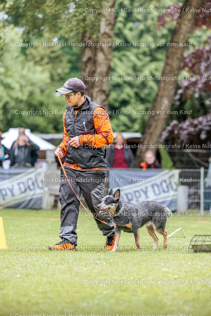 RO-Blumenthal-2026-Nickbest-Hundefotografie-1128 | Dein Hund! Dein Moment! Deine Erinnerungen! Hundefotografie in Bremen Blumenthal. Ich fange die besonderen Momente deines Vierbeiners ein – ob Indoor mit Blitzanlage oder in der freien Natur. Sicher dir dein Moment und dein Termin für eure Erinnerungen.