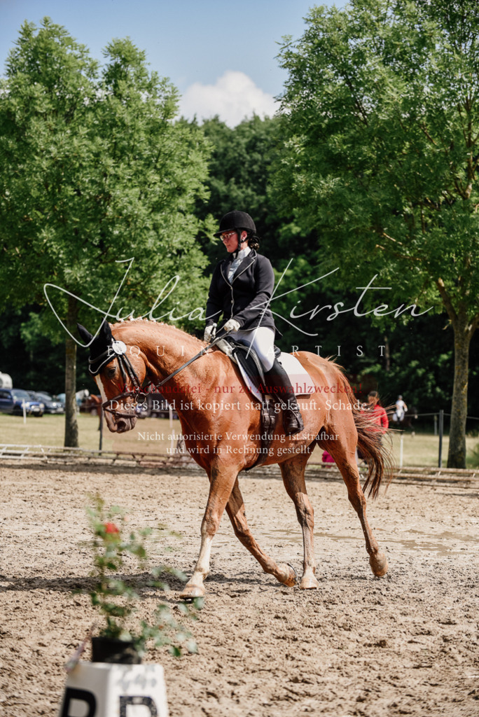 DSC_0669 | Pferde- und Turnierfotografie in Westsachsen. Pferdeportraits, Auftragszeichnungen und intuitive Kunst.