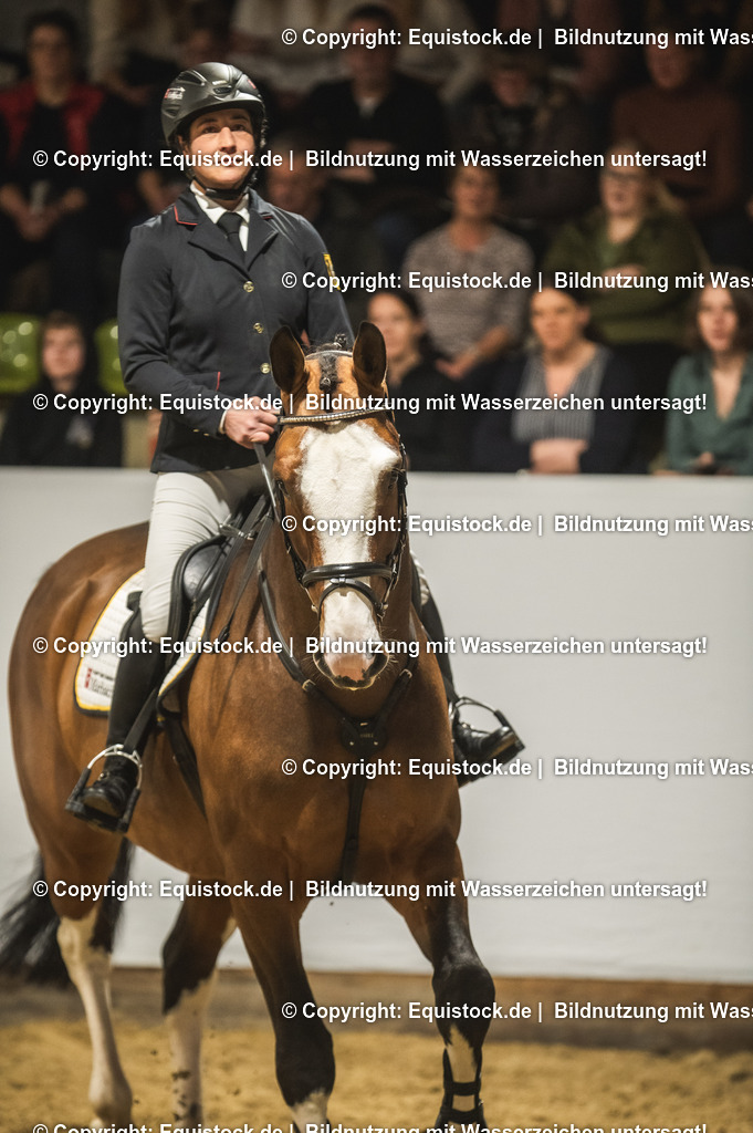 20240302_Hengstvorstellung_Marbach_TOMsPiC_0484 | equistock