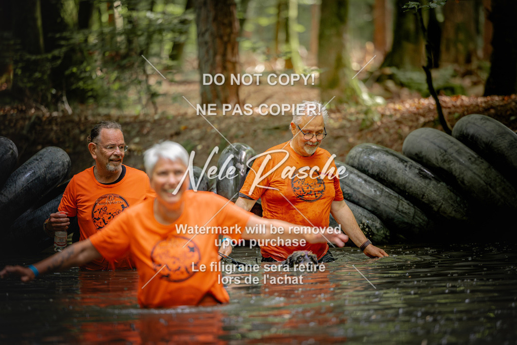nelerasche_SaWingst1600-Ende_162 | nelerasche