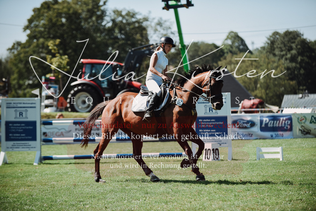 DSC_3109 | Pferde- und Turnierfotografie in Westsachsen. Pferdeportraits, Auftragszeichnungen und intuitive Kunst.