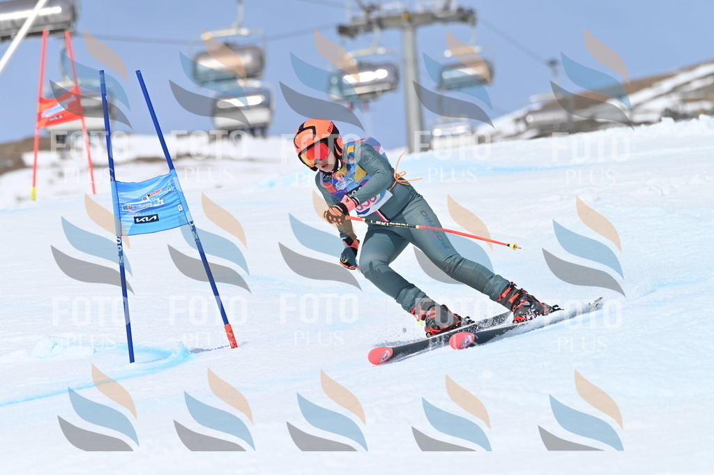 BGV_3805 | holidayphoto