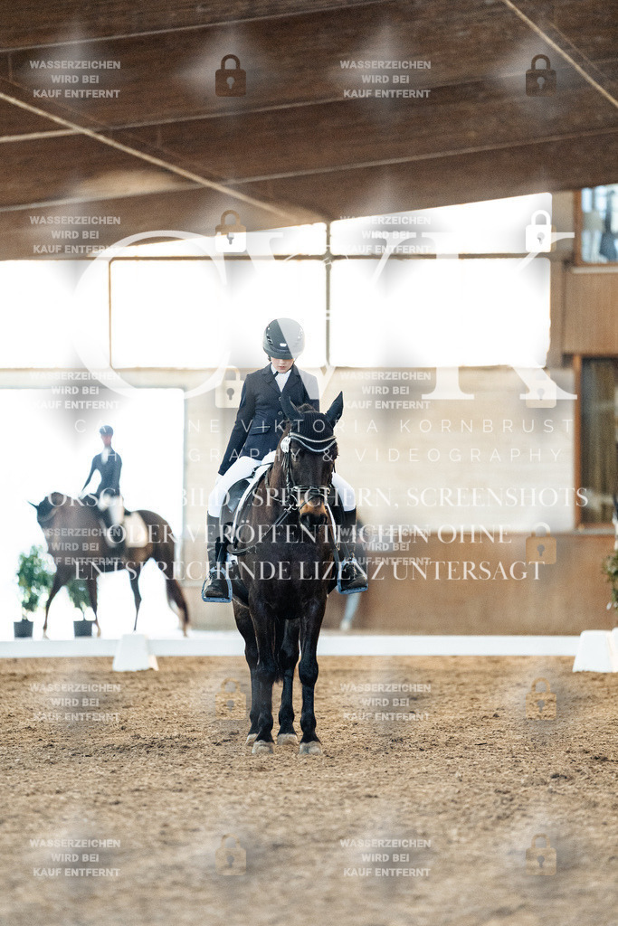 CK906784 | Turnierfotografie Pferdefotografie Trier Rheinland-Pfalz Pferdesport Reitsport Tierfotografie Sportfotografie Pferdevideo Pferdevideografie Equestrianvideography equestrianphotography  - Realisiert mit Pictrs.com