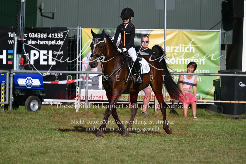 DSC_4747 | Pferde- und Turnierfotografie in Westsachsen. Pferdeportraits, Auftragszeichnungen und intuitive Kunst.