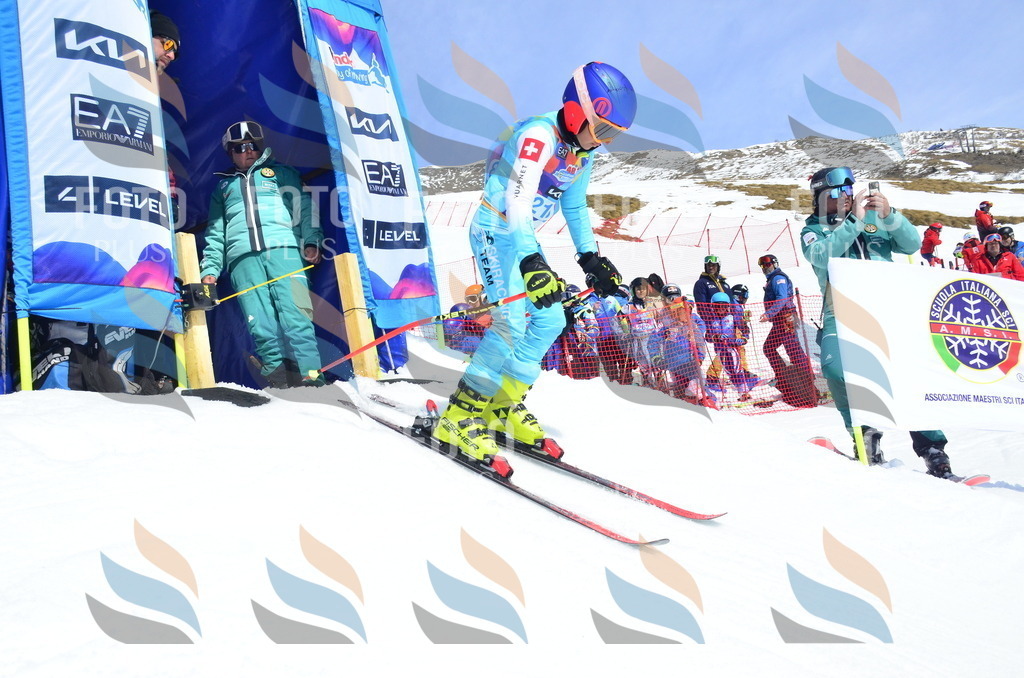 _ELE1486 | holidayphoto