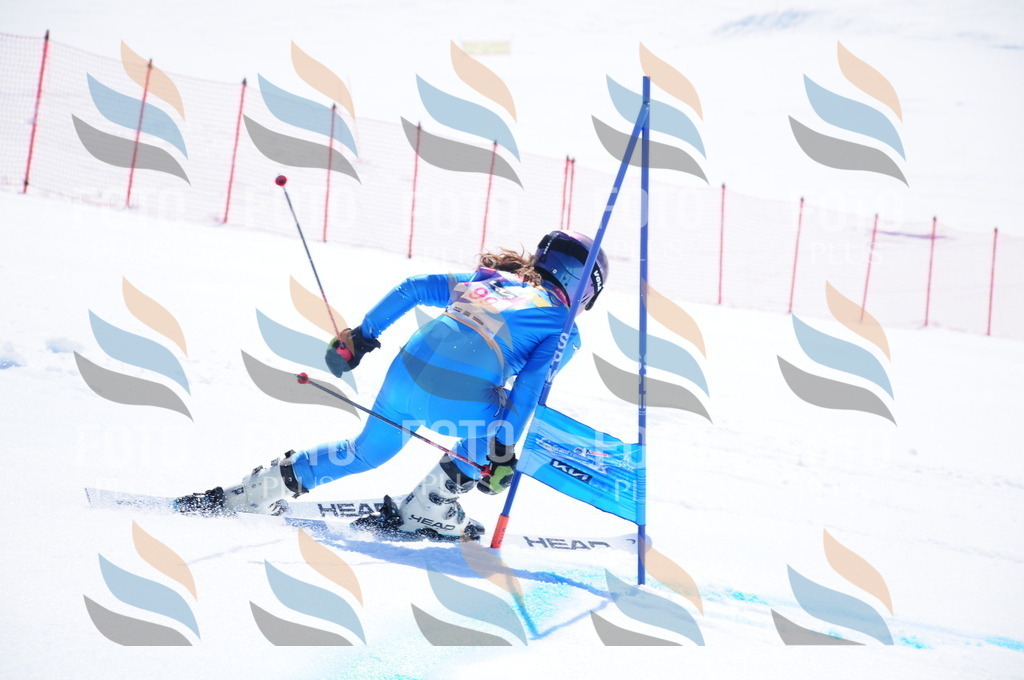 DSC_4743 | holidayphoto