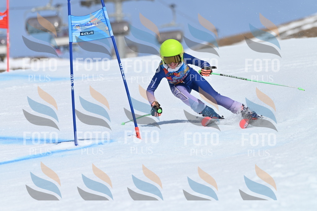 BGV_0251 | holidayphoto