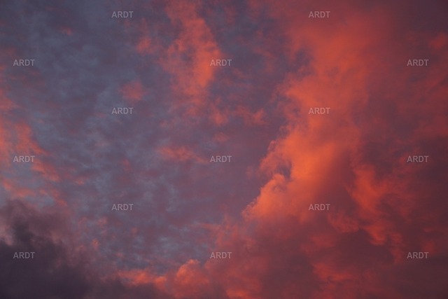 Momente 20 | ARDT Foto Kunst
