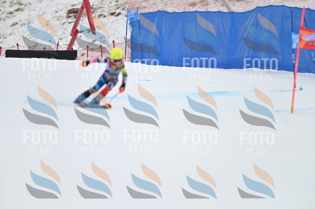 BGV_2645 | holidayphoto