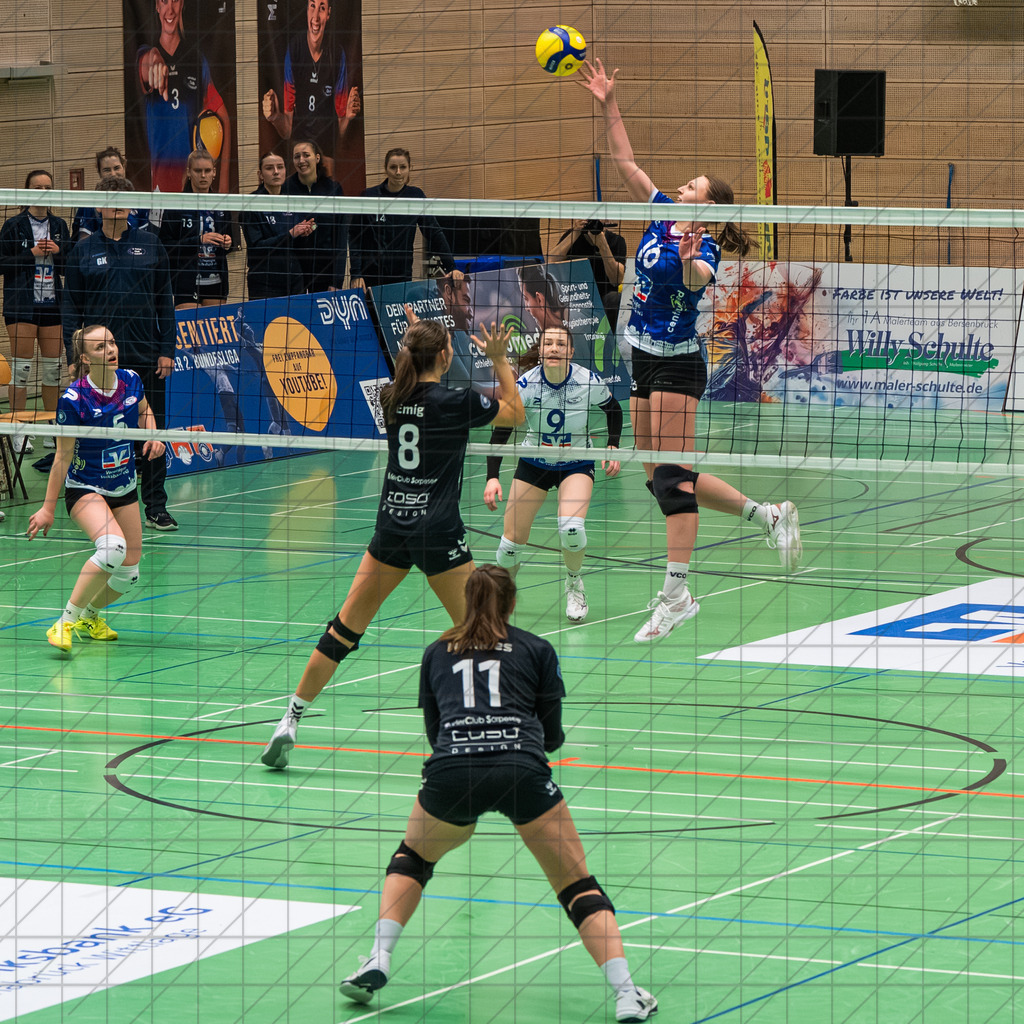 2. VBLF Nord 25/26 | Spiel 4041 | VC Osnabrück vs. RC Sorpesee | //  30.11.25: 2. VBLF Nord 25/26 | Spiel 4041 | VC Osnabrück vs. RC Sorpesee / Osnabrück / Deutschland  //   CREDIT:www.bullenfotos.de, Martin König, Hörner Weg 40, D-49078 Osnabrück, +4917663732967 // Nutzung und Weitergabe nur zu den vereinbarten Zwecken. Presseanfragen an Ersteller. Alle Rechte beim Ersteller. Honorierung nach MFM. - Realisiert mit Pictrs.com