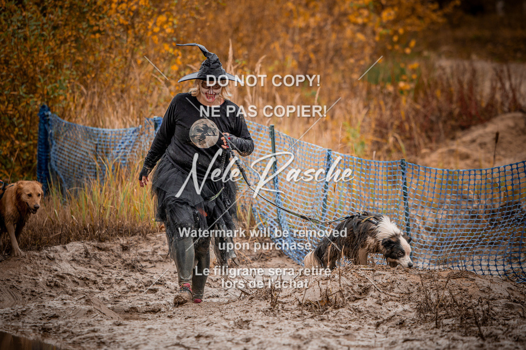 nelerasche_Creepy2025_Sa11-12_186 | nelerasche
