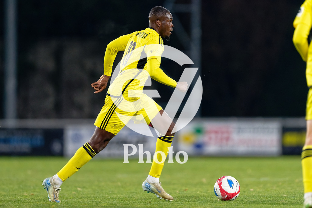 dieci Challenge League - FC Stade Nyonnais v FC Vaduz |  during the dieci Challenge League match between FC Stade Nyonnais and FC Vaduz at Centre sportif de Colovray in Nyon, Switzerland