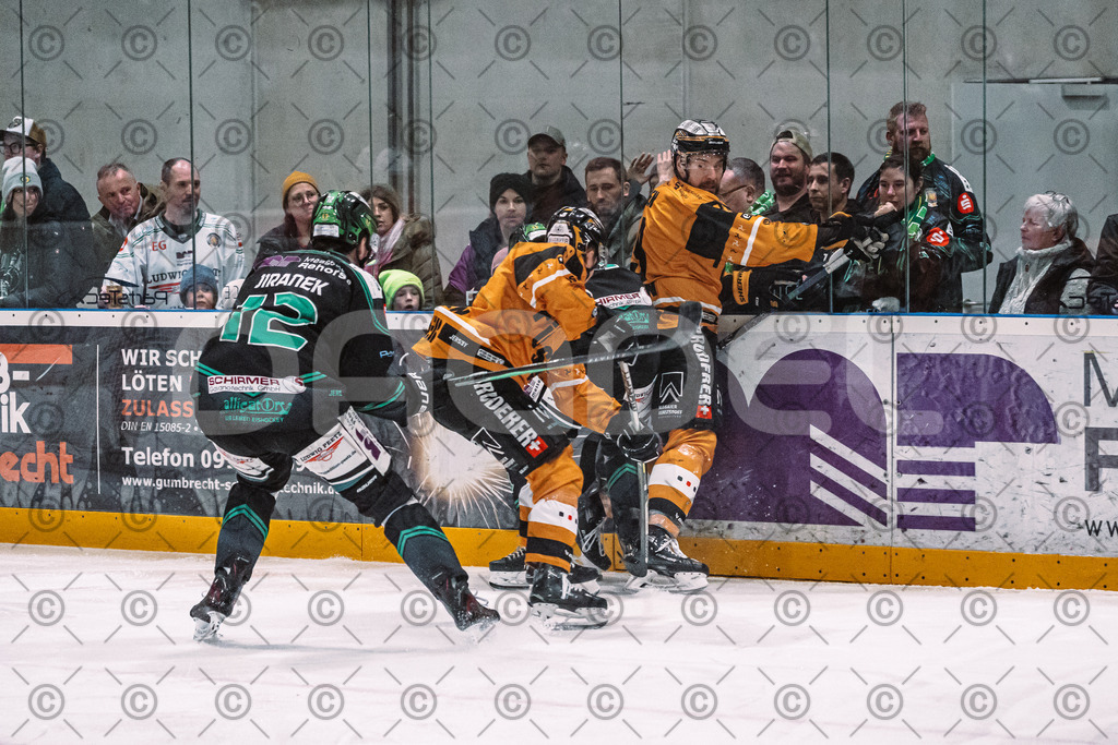 Alligators_vs_Fuessen_01_03_2026_PP-15 | Höchstadt Alligators Fotogalerie: Eishockey-Action aus Franken. Professionelle Spielfotos, Portraits & Stadionbilder zum Download. Jetzt entdecken! - Realisiert mit Pictrs.com