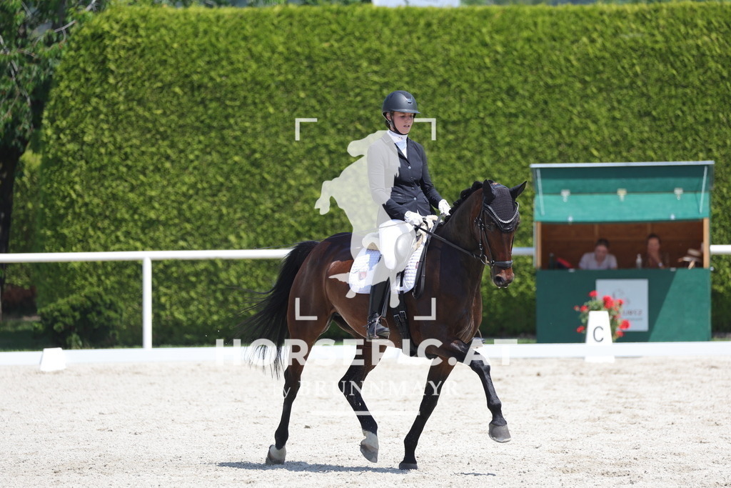 0P6A6158 | Willkommen bei Brunnmayr - Design & Fotografie – Ihrem Spezialisten für Reitturniere und Pferdeveranstaltungen in Oberösterreich, Salzburg und Bayern! Seit über 17 Jahren sind wir leidenschaftlich dabei.