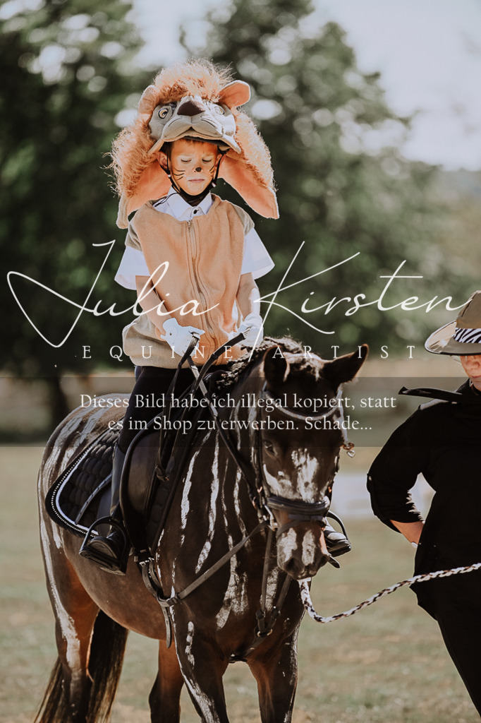 DSC_9128 | Pferde- und Turnierfotografie in Westsachsen. Pferdeportraits, Auftragszeichnungen und intuitive Kunst.