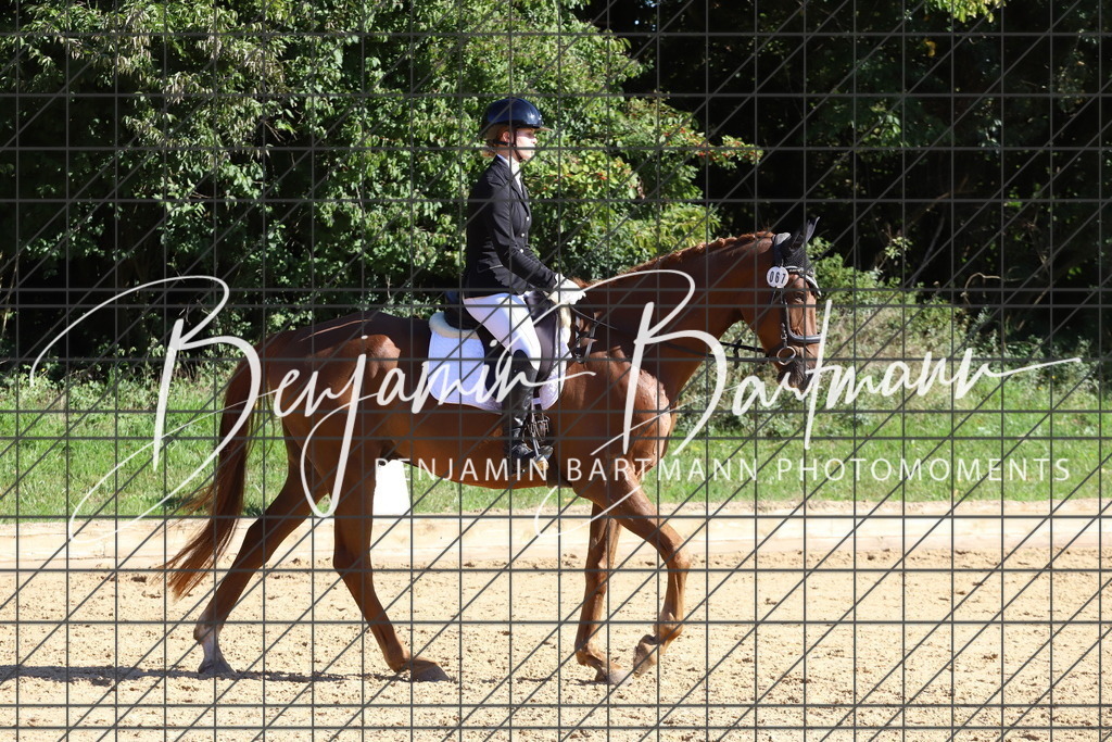 IMG_5138 | Benjamin Bartmann Photomoments