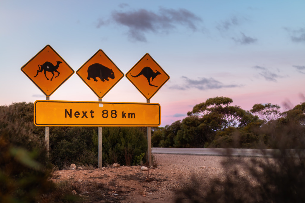 Australien Nullarbor 03 | christophschaarschmidt - Realisiert mit Pictrs.com