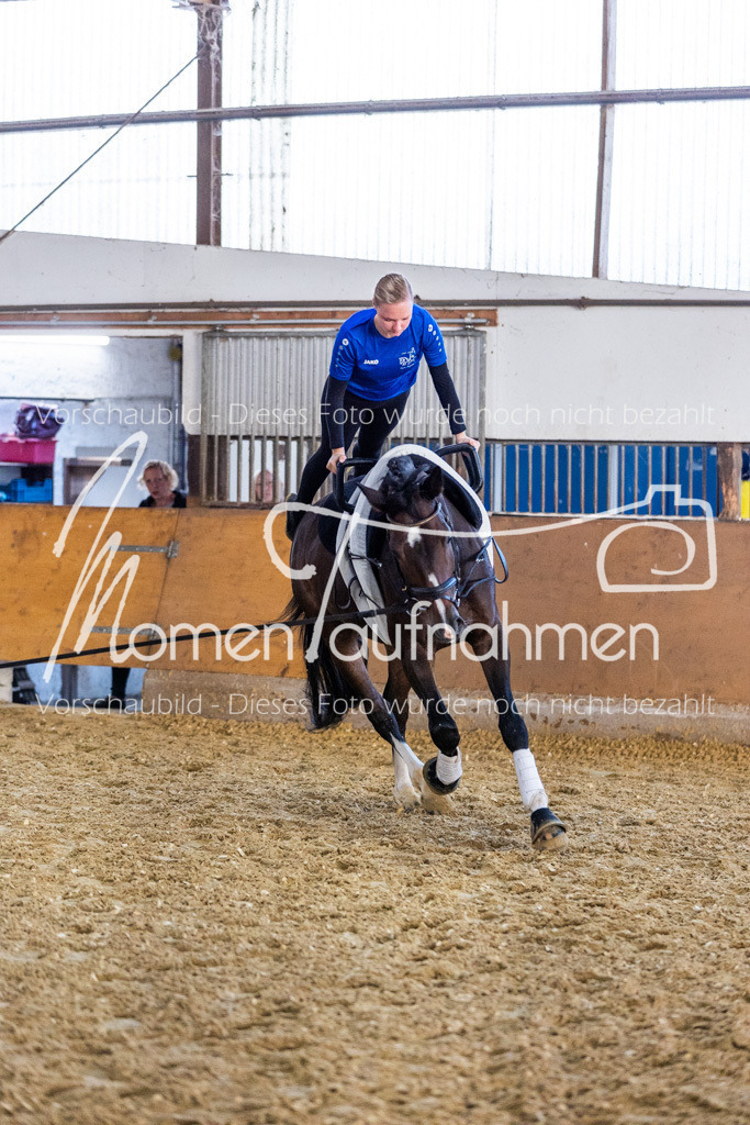 VTD-Voltigierpferde-043 | MomenTaufnahmen Pferdesportfotos