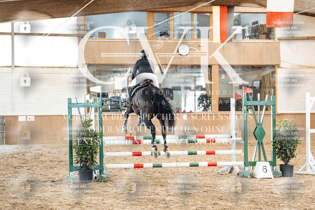 CK904182 | Turnierfotografie Pferdefotografie Trier Rheinland-Pfalz Pferdesport Reitsport Tierfotografie Sportfotografie Pferdevideo Pferdevideografie Equestrianvideography equestrianphotography  - Realized with Pictrs.com