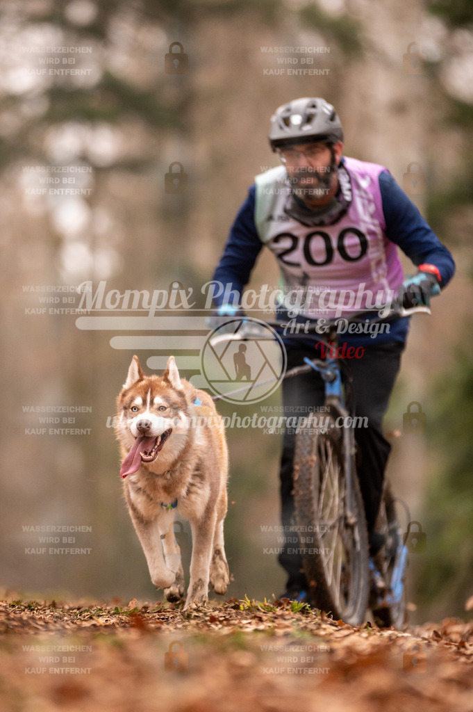 AKM_ST_2023_SAM_Scooter-89 | PayLife
