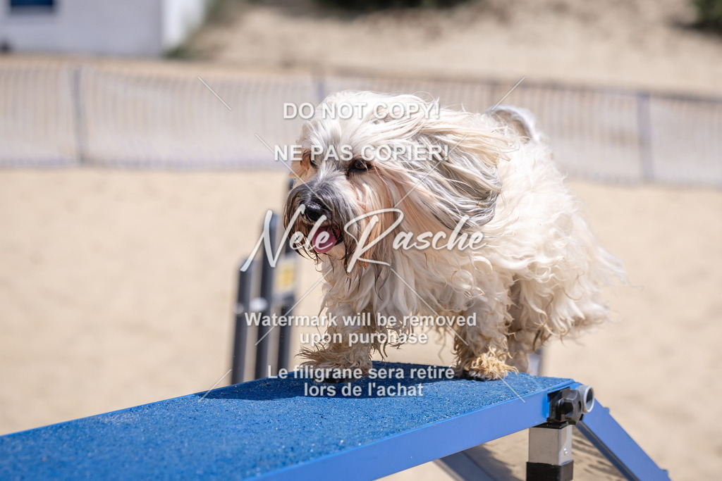 NR__2899 | nelerasche