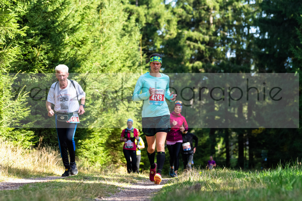 Rennsteiglauf 2021 | Marathon Neuhaus/Rwg. - Schmiedefeld