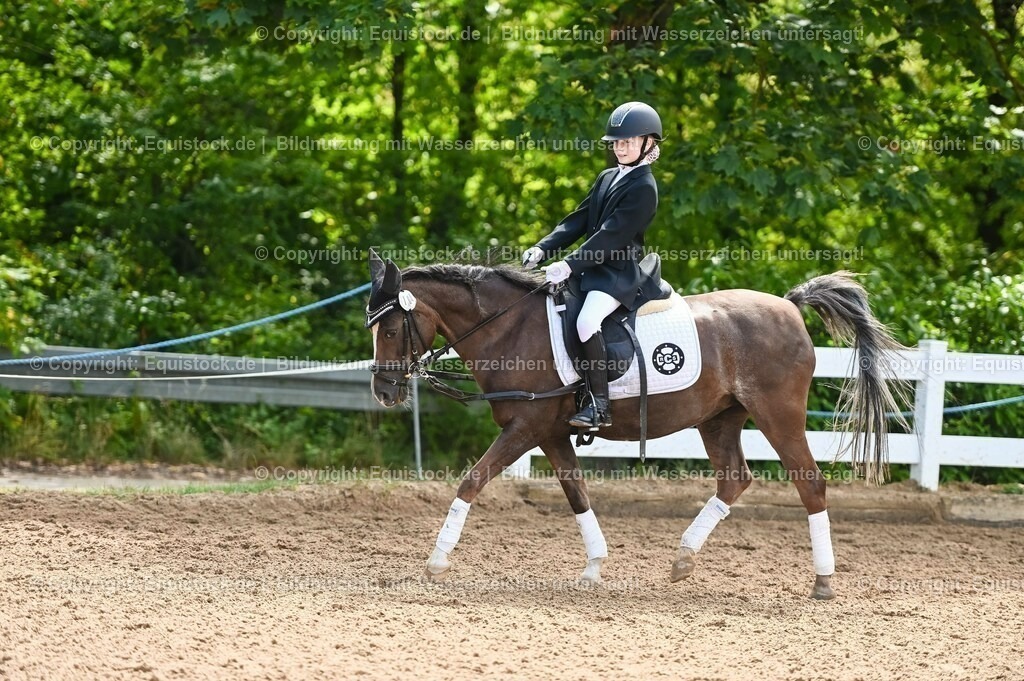 20230716_10-3_Reiter-WB Schritt - Trab - Galopp_0066 | equistock