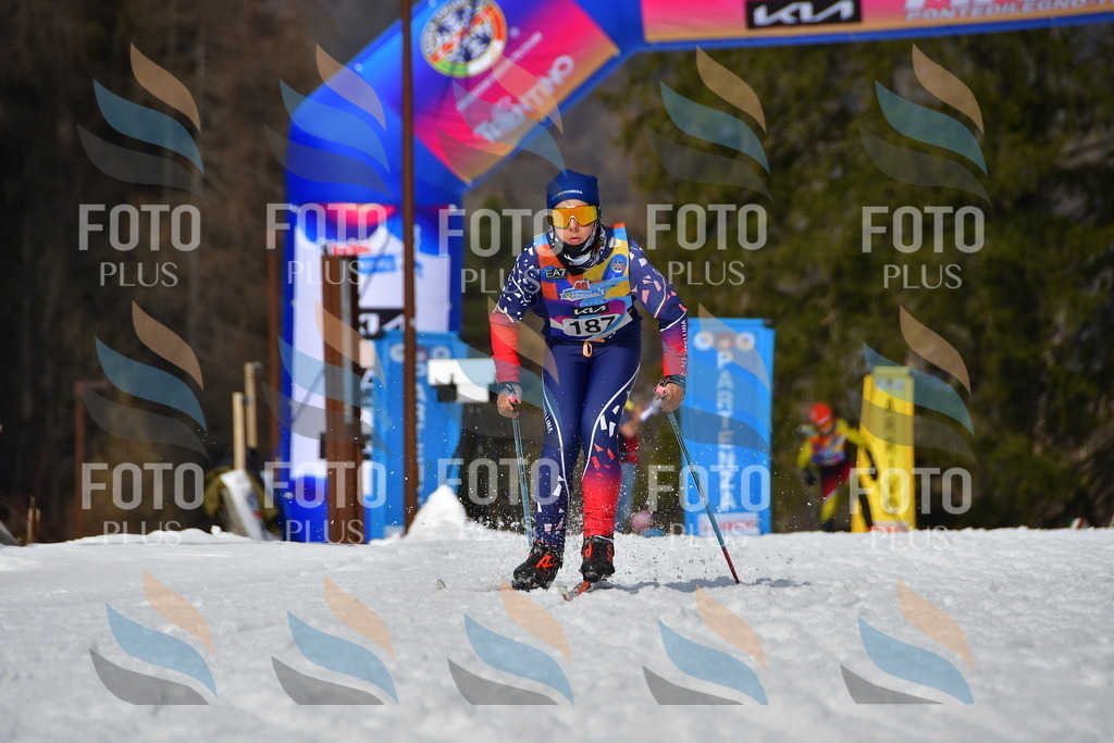 _DSC0902 | holidayphoto