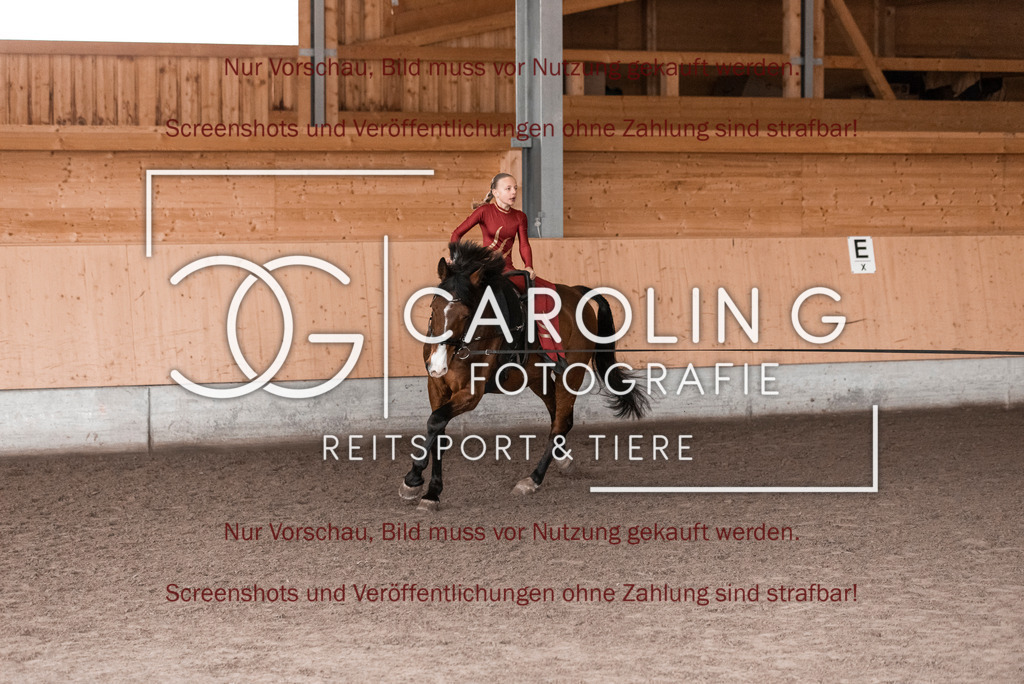 DSC_2017 | Turnierfotografin Carolin Gieschke,Reitsport Turnierfotografie Carolin G Fotografie | Turnierfotos aus Kirchheim/Teck, Esslingen, Stuttgart und dem Bodenseekreis